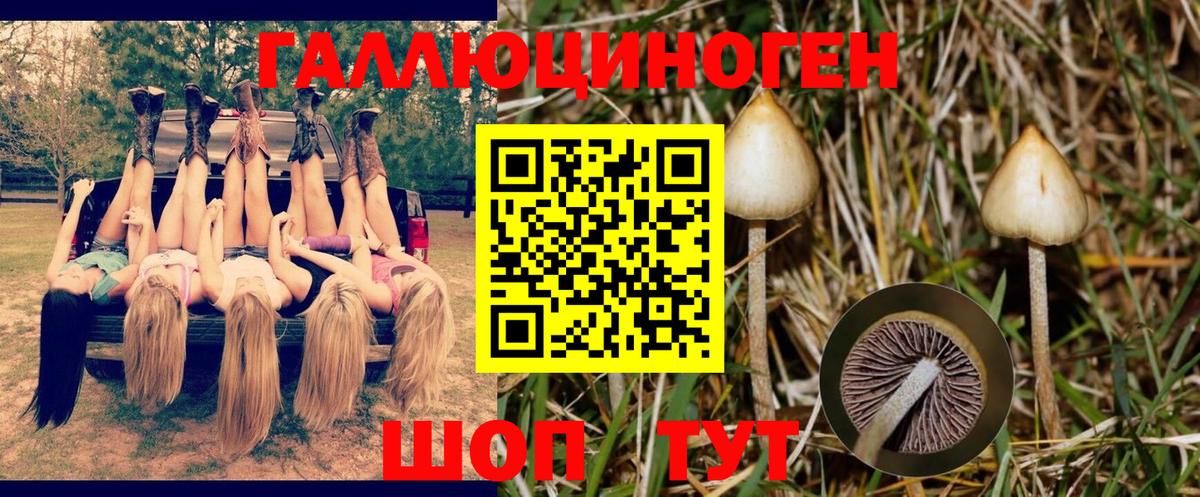 Галлюциногенные грибы мухоморы Сертолово