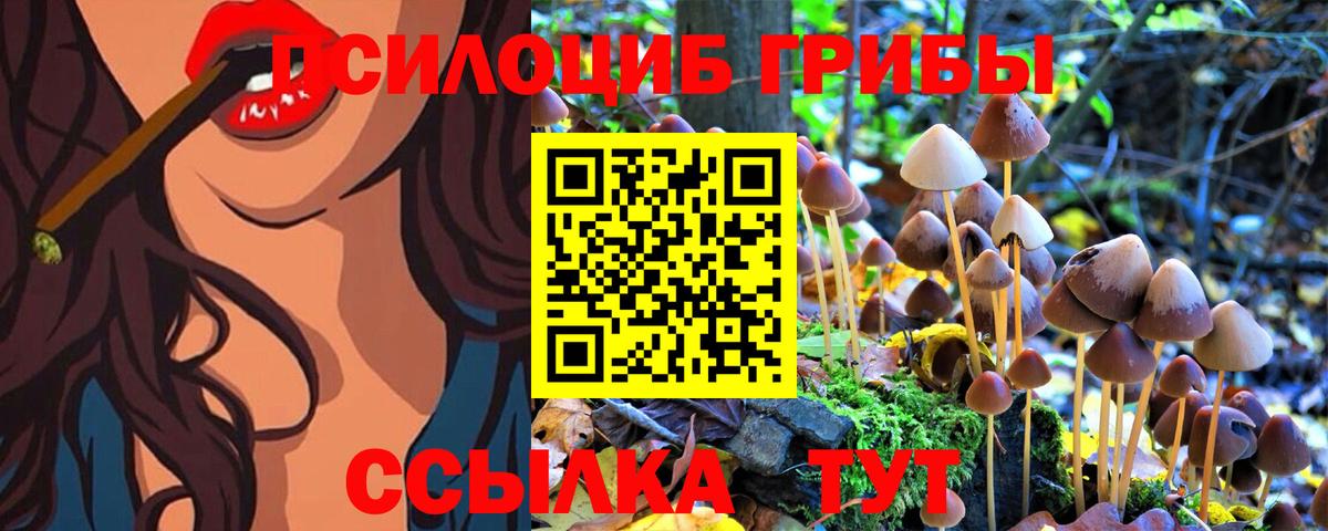 Псилоцибиновые грибы Magic Shrooms  Вход с VPN  Сертолово 